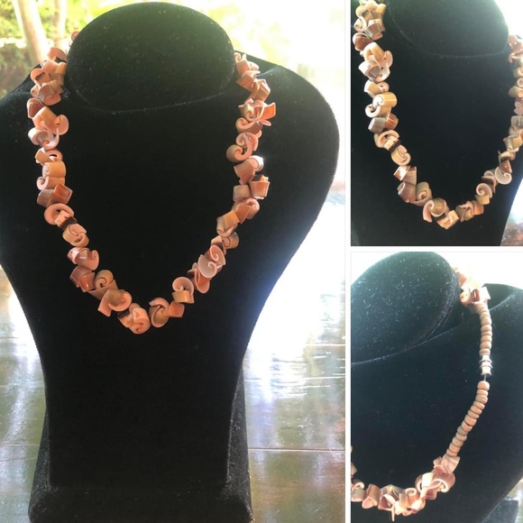 Source Unknown Jewelry - 3/$25 GENUINE SHELL NECKLACE
